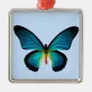 Search for blue butterfly christmas tree decorations Moth