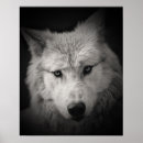Search for black white wolf posters Rustic