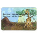 Search for long magnets Animals