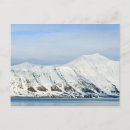 Search for svalbard postcards Polar
