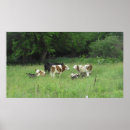 Search for grazing posters Grass