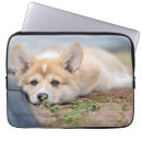 Search for laptop cases Canine
