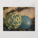 Search for vintage alaska postcards Ketchikan