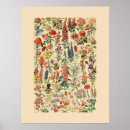 Search for vintage flower posters Leaf