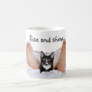 Search for cat bed mugs Kitty