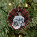 Search for red poodle christmas tree decorations Watercolor