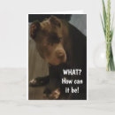Search for cane corso cards Funny