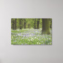 Search for bluebell canvas prints Tree