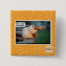 Search for luv badges I can has cheezburger