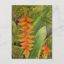Search for indian vertical postcards Nature