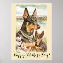 Search for kelpie art Watercolor