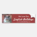 Search for english bulldog bumper stickers Bulldogs