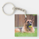 Search for german shepherd key rings Puppy