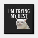 Search for try magnets Meme