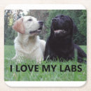 Search for lab coasters Animal