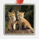 Search for red fox christmas tree decorations Kit