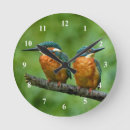 Search for kingfisher gifts Wildlife