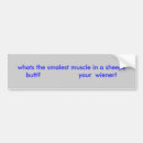 Search for muscle bumper stickers Funny