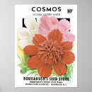 Search for cosmos posters Vintage