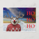 Search for rudolf Animal