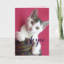 Search for cat graduate cards Animal