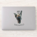 Search for brindle stickers Pet