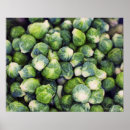 Search for nutrients posters Freshness