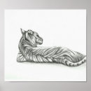 Search for tiger drawing posters Cat