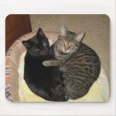Search for kitty love mouse mats Kittens