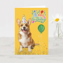Search for corgi birthday cards Pets