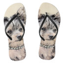 Search for yorkshire terrier shoes Dog