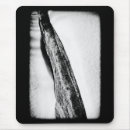 Search for cold mouse mats Nature