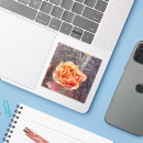 Search for sonoran desert stickers Southwest