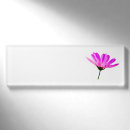 Search for daisy name tags Cute
