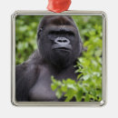 Search for gorilla christmas tree decorations Wildlife