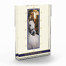 Search for arena Equestrian