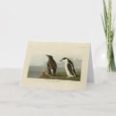 Search for bill cards Bird