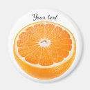 Search for orange fruit magnets Citrus