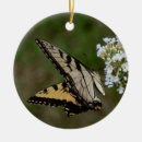 Search for yellow butterflies christmas tree decorations Butterfly