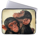 Search for chimpanzees electronics Common chimpanzee