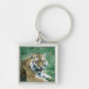 Search for bengal cat key rings Wildlife