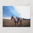 Search for in tack postcards Equine