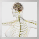 Search for representational posters Medicine