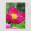 Search for spring love postcards Rose