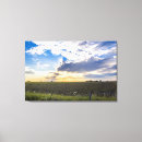 Search for gallery other Landscape