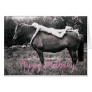 Search for vintage horse photos cards Horses