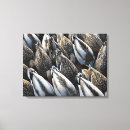 Search for duck canvas prints Nature