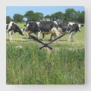 Search for field clocks Holland