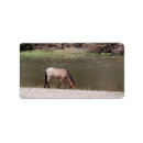 Search for river labels Animals