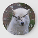 Search for white wolf art Grey wolves